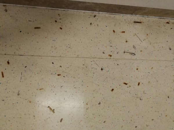 医院PVC地板烟头烫伤
