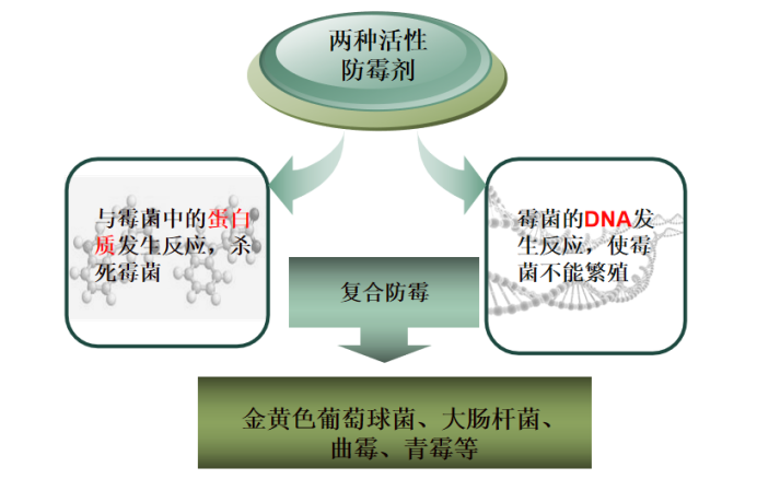 食品厂墙面霉变怎么办？就选防霉效果好的北京航特！