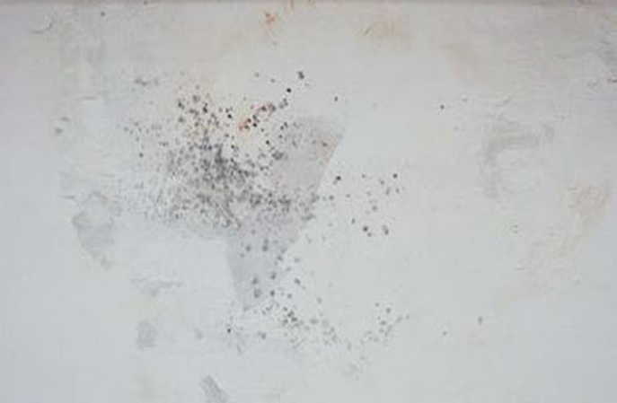 抗菌涂料厂家告诉你哪些墙面需要使用抗菌涂料