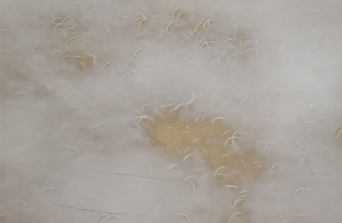 塑立得在塑胶地板翻新保养后有哪些不一样