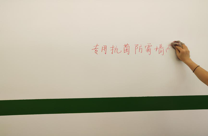 塑立得抗菌涂料：医院墙面的“环保卫士”