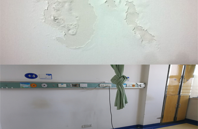 塑立得抗菌墙面涂料：全方位守护医院多元场景，重塑医疗环境新风貌